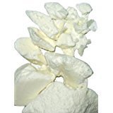 Yellow Brick Road Raw Mango Butter 16oz