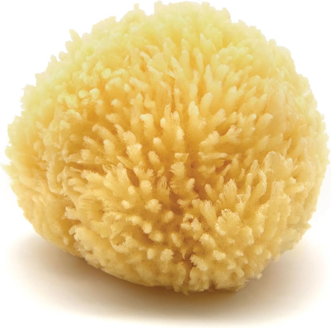 Neptune Caribbean Sea Sponge, Small, Approx. 4-5 in, Exfoliating