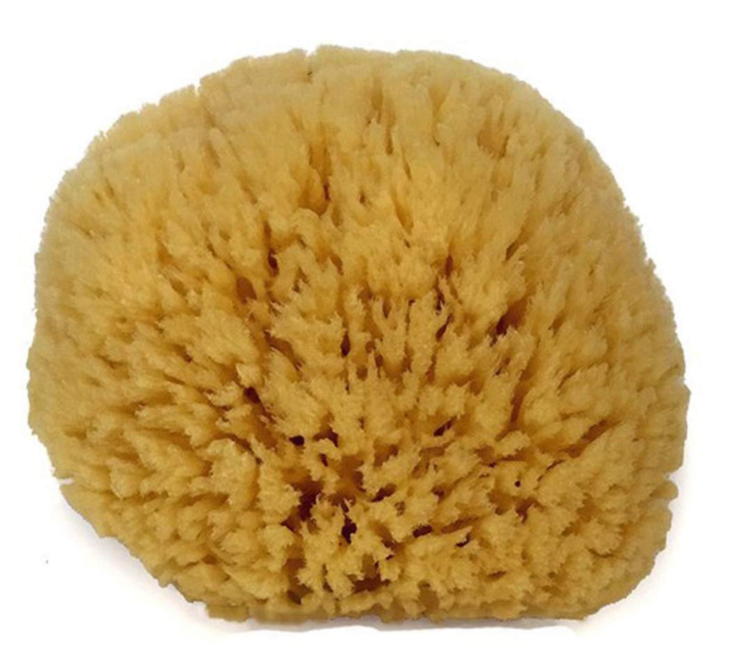 Natural Sea Sponge 6-7″ by Spa Destinations Creating The At-Home Spa Experience