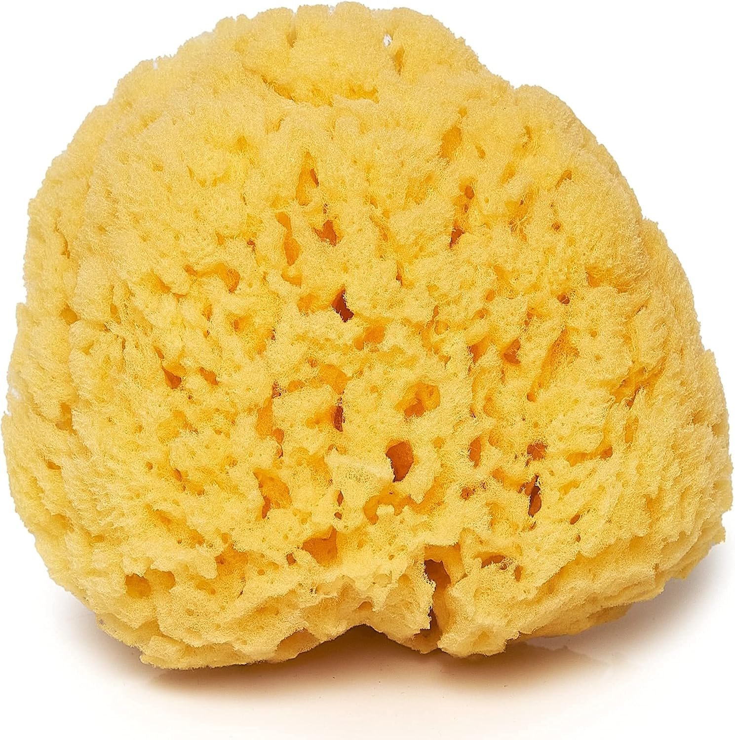 Natural Sea Sponge for Bathing, 5 Inch Yellow Bath Sponge for Shower & Body, Soft Exfoliating Sponge for Sensitive Skin, Eco-Friendly Natural Bath Sponge