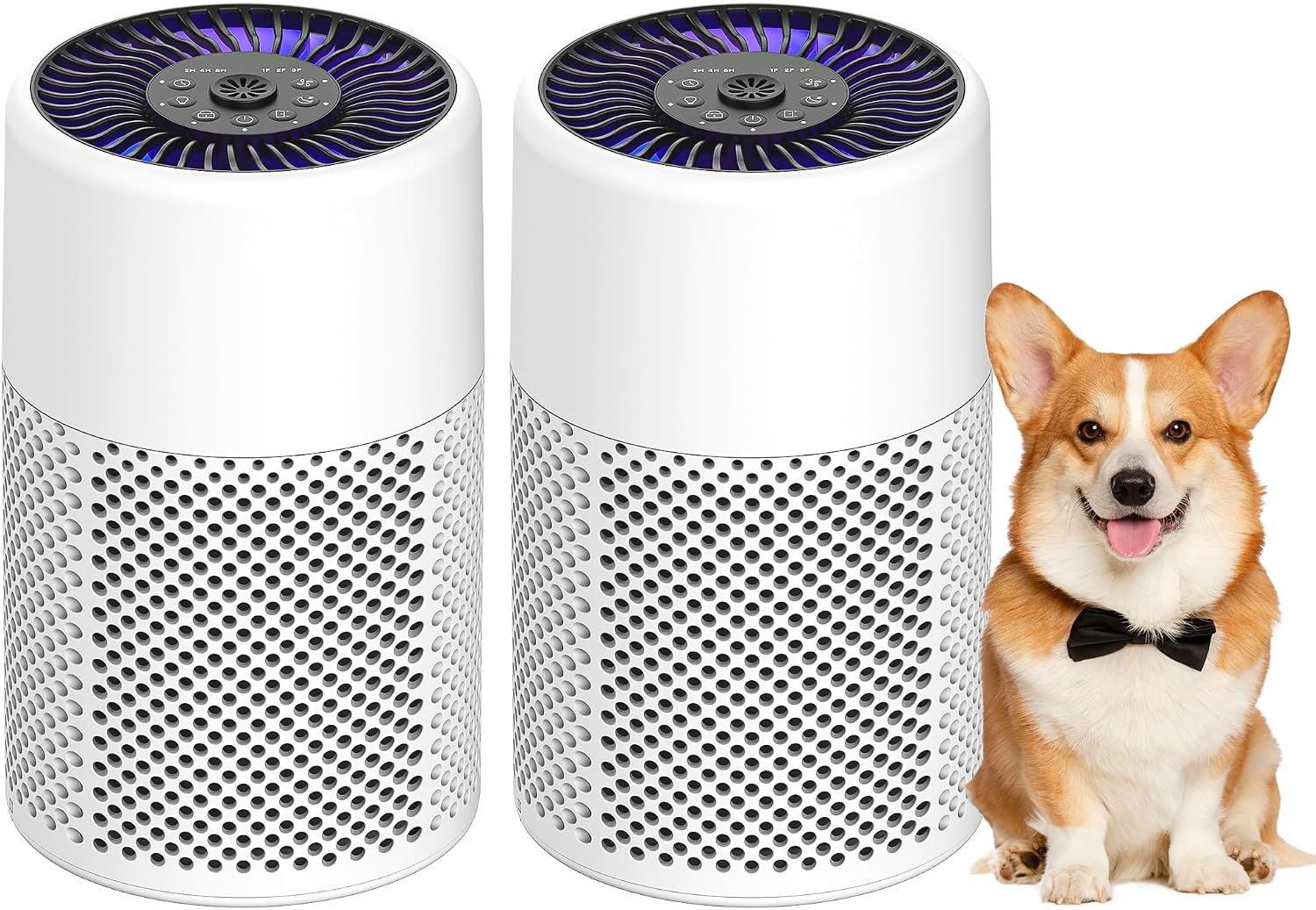 2 Pack Air Purifiers for Bedroom Home, True HEPA Filter for Smoke, White