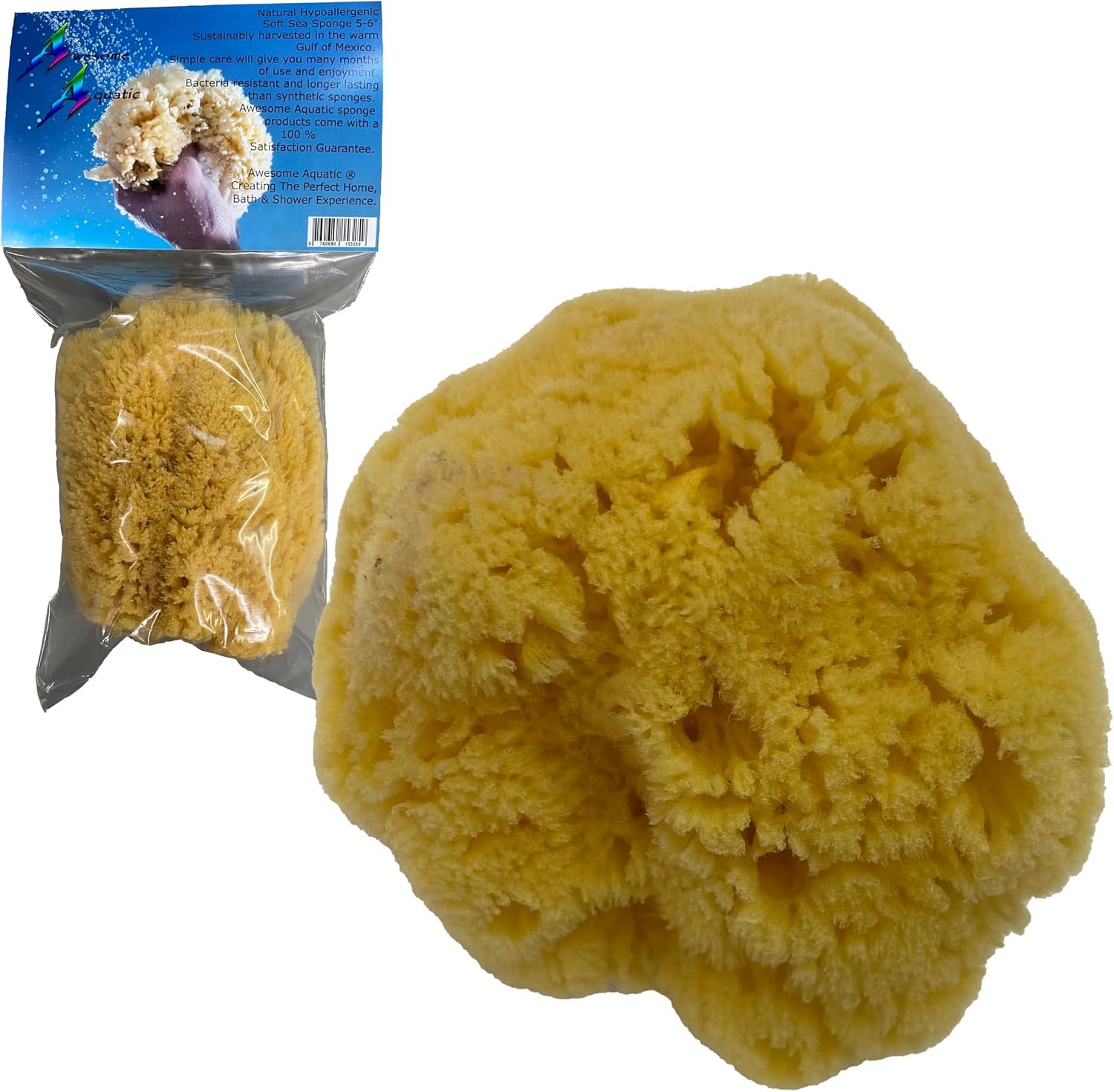 Natural Yellow Grass Sea Sponge 5-6 in Large Bath Shower Artist Painting